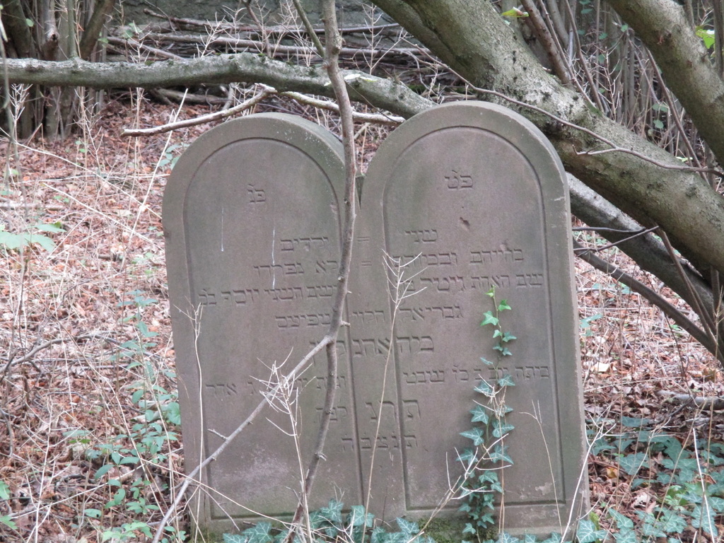 Ortsgeschichten-Krone