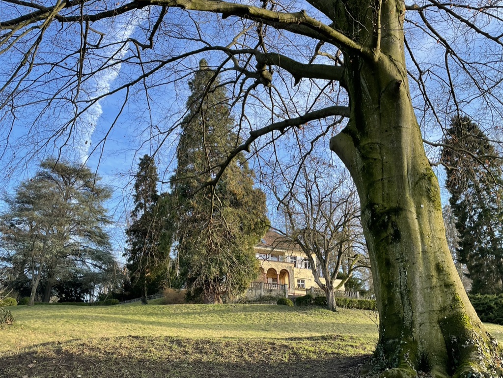 Sehenswürdigkeiten in Zwingenberg