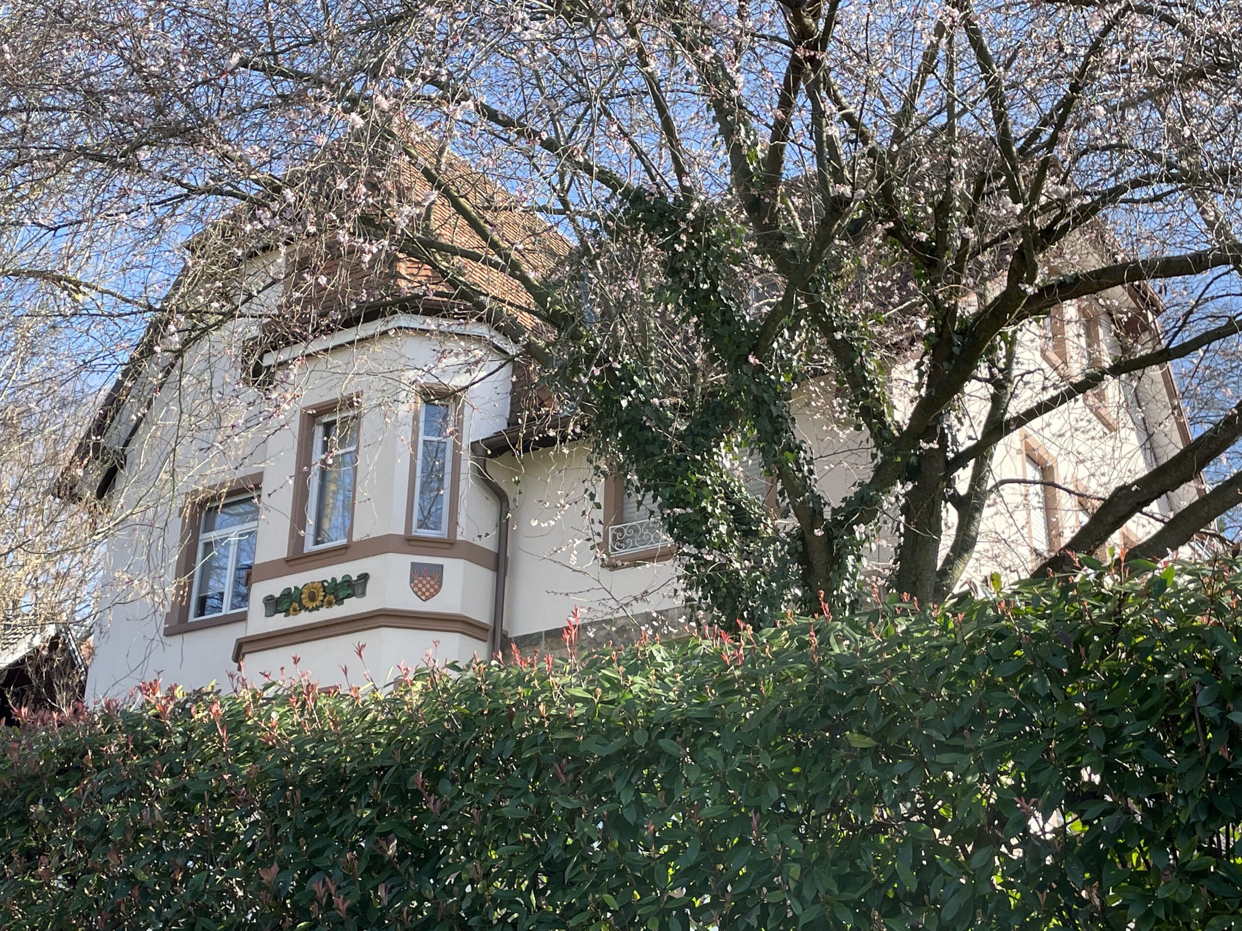Alsbach, ehemals Weyersberg 2023 Alsbacher Brunnen